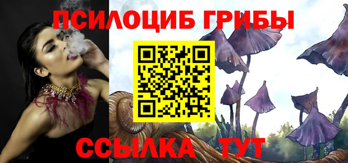 Галлюциногенные грибы Magic Shrooms Новочебоксарск