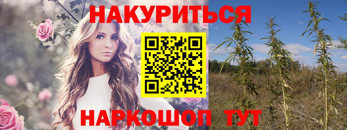Новочебоксарск  Бошки Шишки White Widow  Вход с VPN  МАРИХУАНА MAZAR  МАРИХУАНА планчик 
